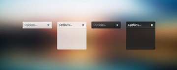 Dark & Light Select Box / Dropdown