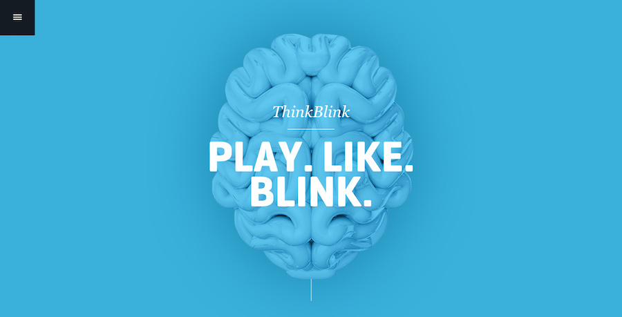 Think Blink corporate website