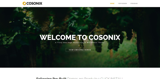 cosonix