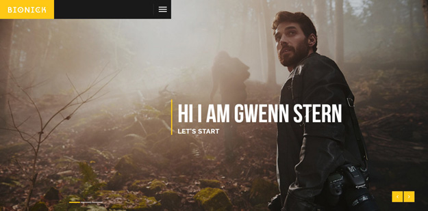 BioNick Responsive Personal Template