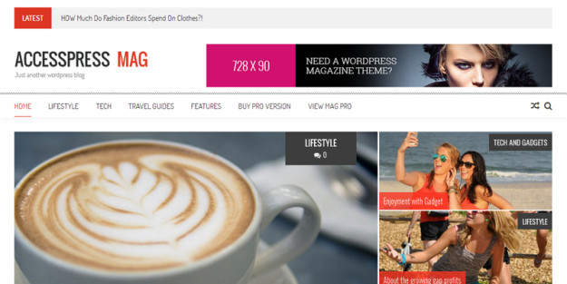 accesspress-mag-wordpress-theme